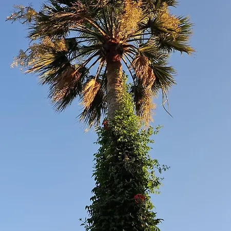 Bade Βίλα Dalyan