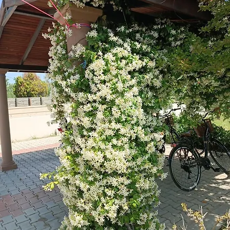 Bade Вилла